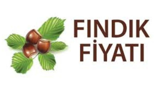 19.03.2024 günlük Fındık Fiyatı